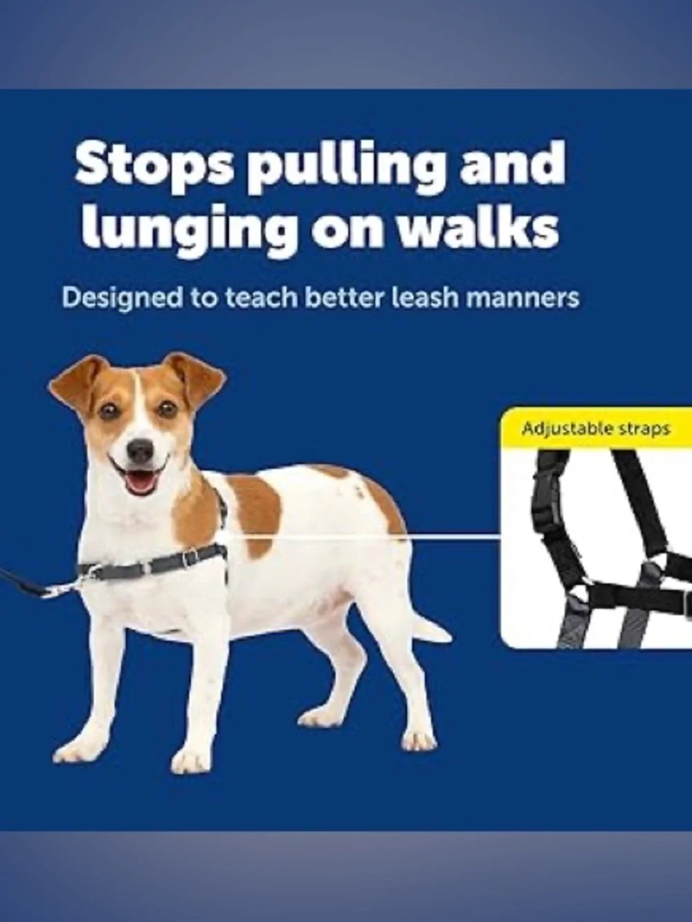 N/A new petsafe
